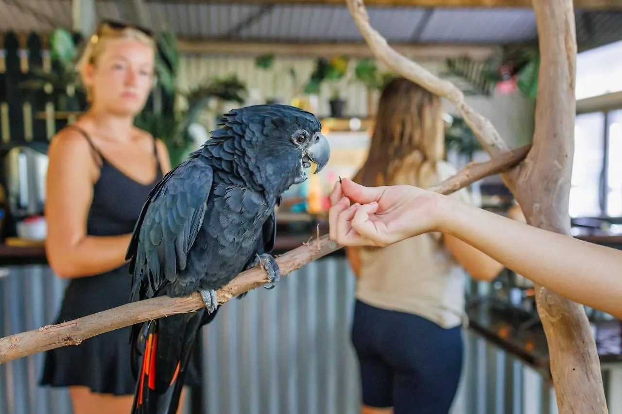 Selina Magnetic Island Hostel Horseshoe Bay
